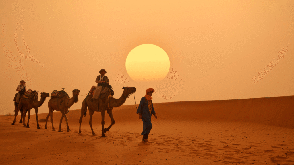 a camel on sahara desert of morocco
