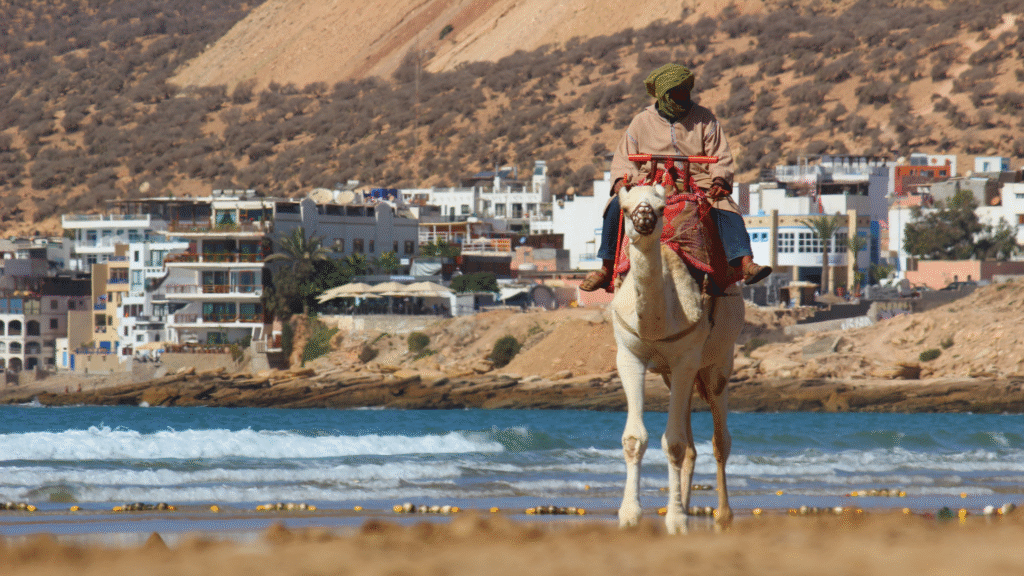 taghazout citi in morocco taghazout citi in morocco