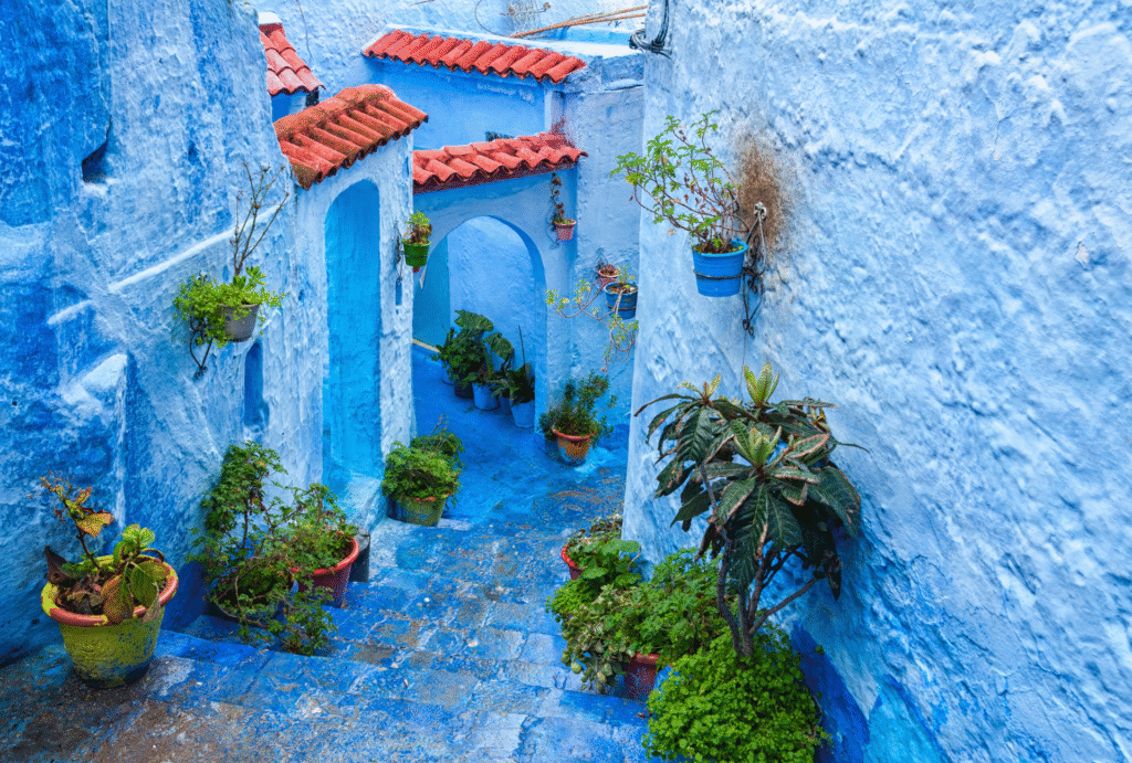 the bleu city in morocco