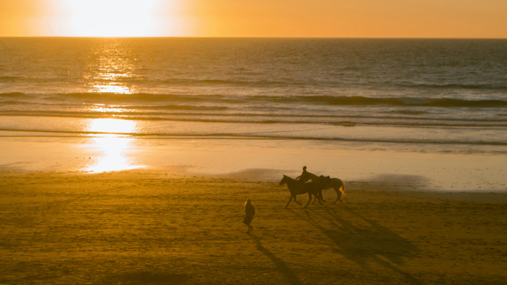 two horses in beach of taghazout in morocco two horses in beach of taghazout in morocco